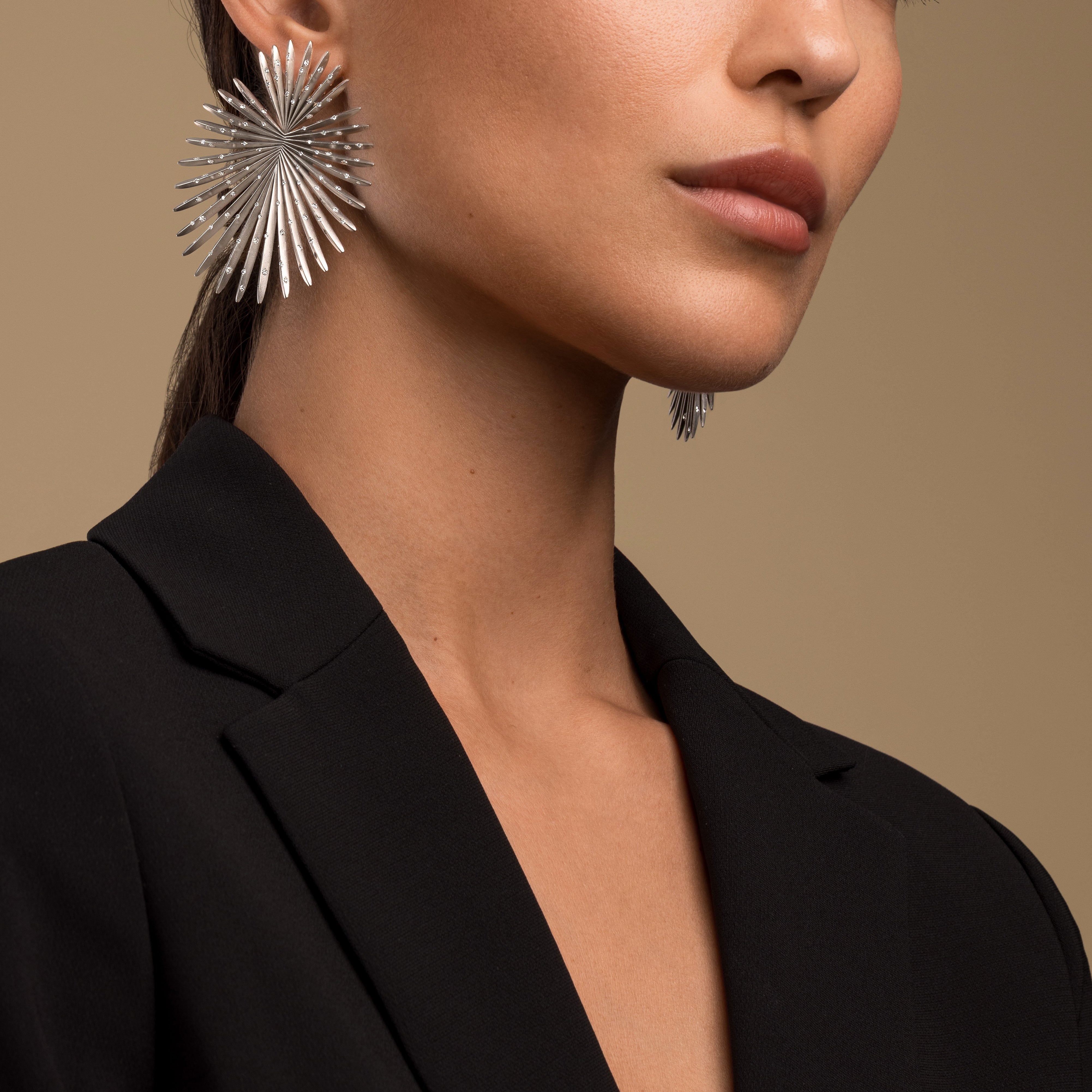 Palma Titanium Diamond Earrings