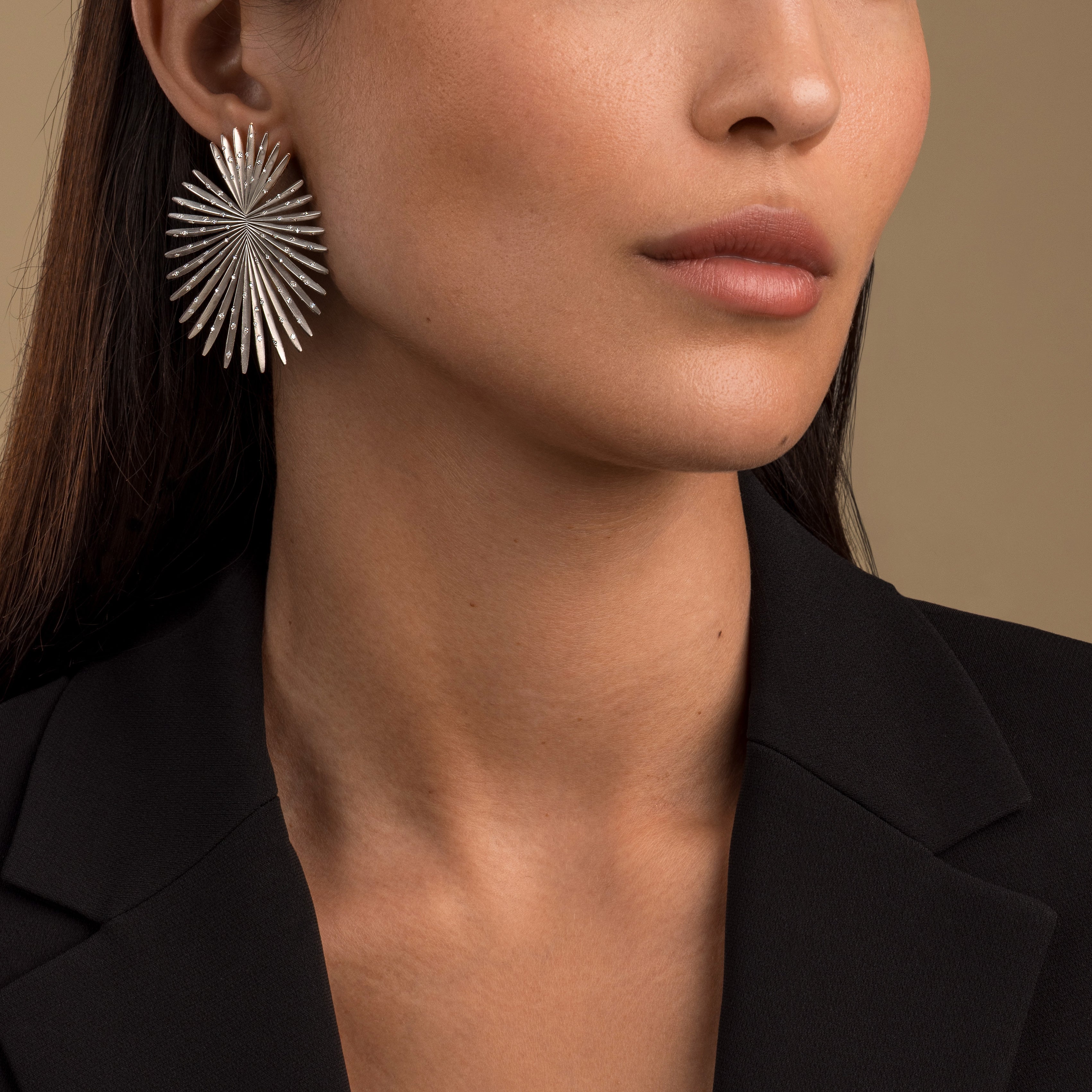 Small Palma Titanium Diamond Earrings
